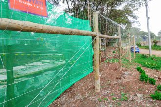 Ngong Road Forest Sanctuary Block Fence